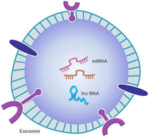 Exosome_img